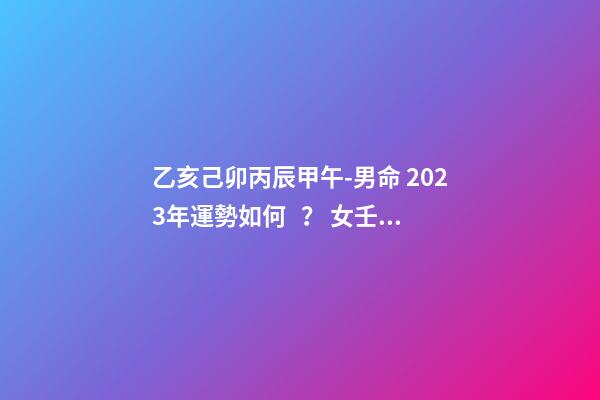 乙亥己卯丙辰甲午-男命 2023年運勢如何？ 女壬申癸卯丁亥辛丑，2023年運勢怎么樣，謝謝-第1張-觀點-玄機派